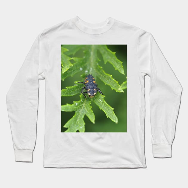 Larva of Coccinella septempunctata (seven-spotted ladybug) Long Sleeve T-Shirt by SDym Photography